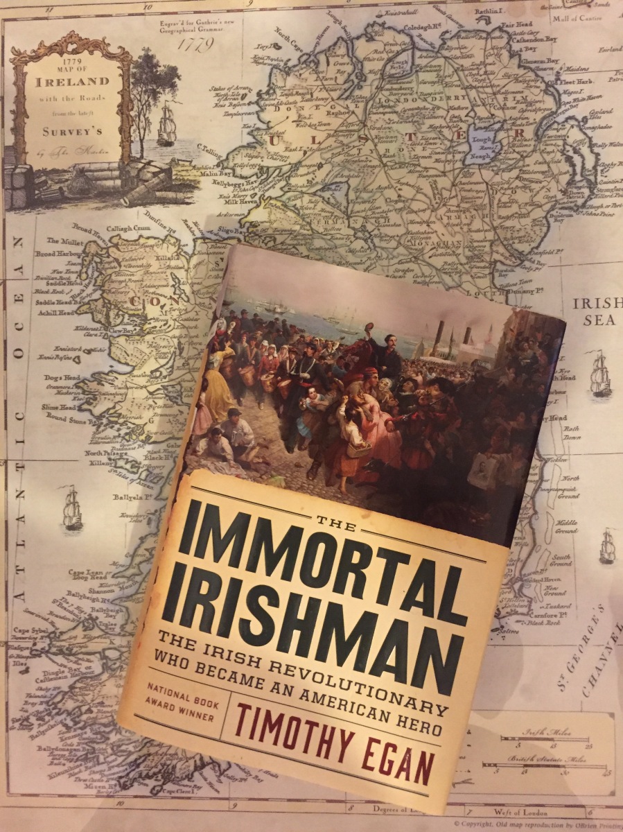 the immortal irishman book review